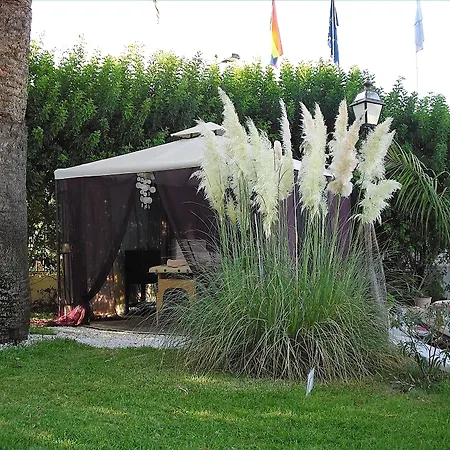 Birdcage Gay Men And Lifestyle (adults Only) Playa del Ingles (Gran Canaria)