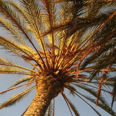 Resort Birdcage Gay Men And Lifestyle (adults Only)