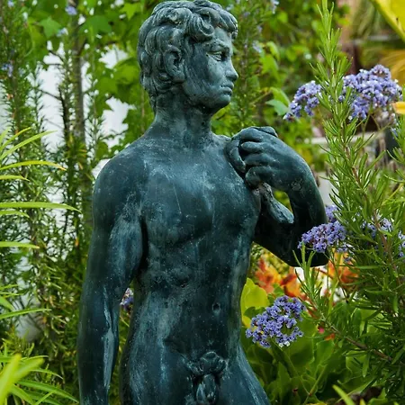 Birdcage Gay Men And Lifestyle (adults Only) Resort Playa del Ingles (Gran Canaria)