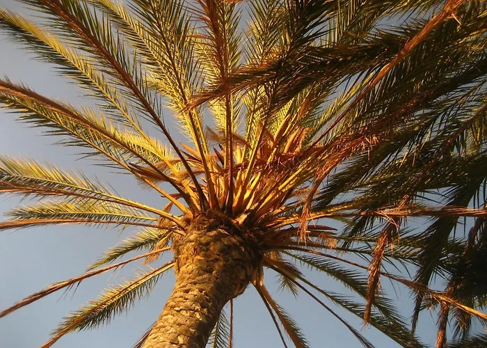 Feriested Birdcage Gay Men And Lifestyle (adults Only)