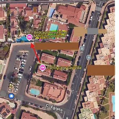 Birdcage Gay Men And Lifestyle (adults Only) Playa del Inglés