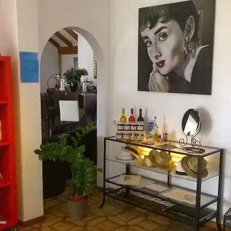 Birdcage Gay Men And Lifestyle (adults Only) Resort Playa del Inglés