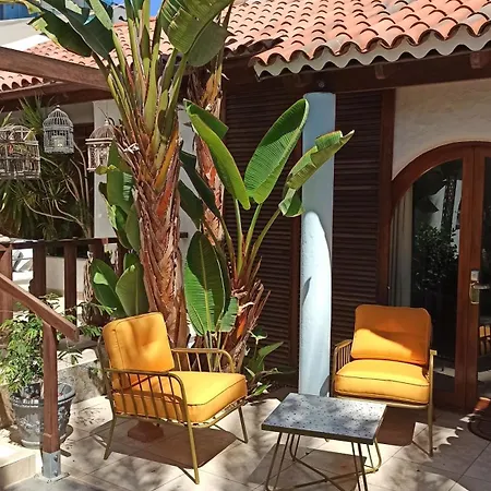 Semesteranläggning (resort) Birdcage Gay Men And Lifestyle (adults Only) 4*