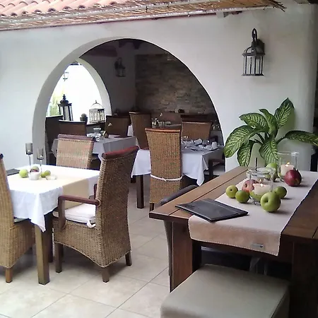 Birdcage Gay Men And Lifestyle (adults Only) Rezort