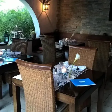 Birdcage Gay Men And Lifestyle (adults Only) Playa del Inglés