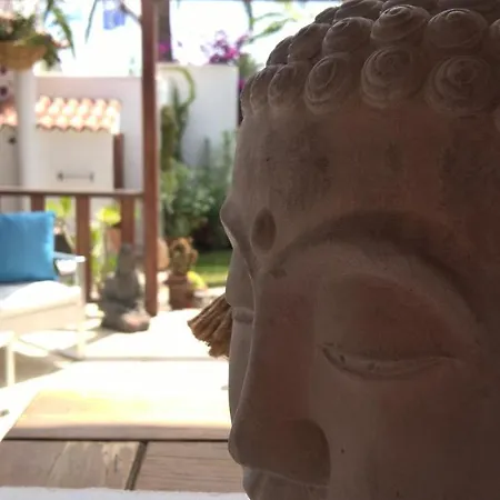 Birdcage Gay Men And Lifestyle (adults Only) Playa del Inglés