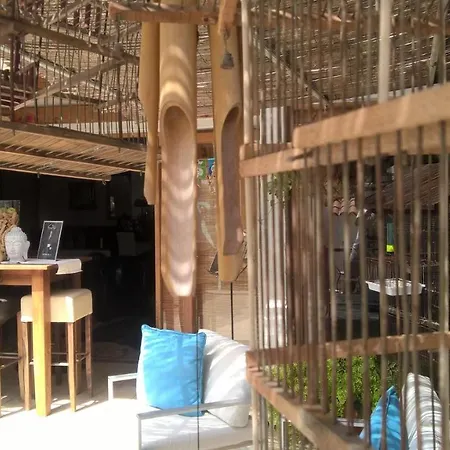 Semesteranläggning (resort) Birdcage Gay Men And Lifestyle (adults Only)
