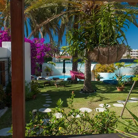 Semesteranläggning (resort) Birdcage Gay Men And Lifestyle (adults Only) 4*