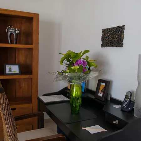 Birdcage Gay Men And Lifestyle (adults Only) Playa del Inglés