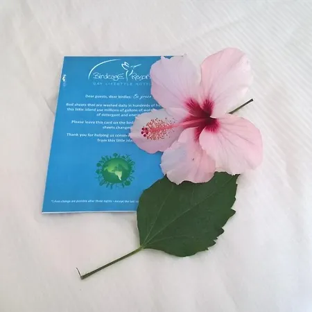 Birdcage Gay Men And Lifestyle (adults Only) Semesteranläggning (resort) Playa del Inglés