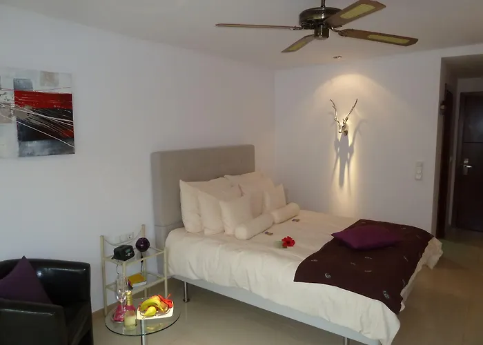 Birdcage Gay Men And Lifestyle (adults Only) Playa del Ingles (Gran Canaria)