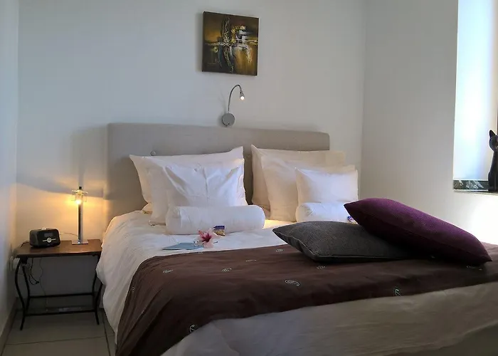 Birdcage Gay Men And Lifestyle (adults Only) 4* Playa del Inglés