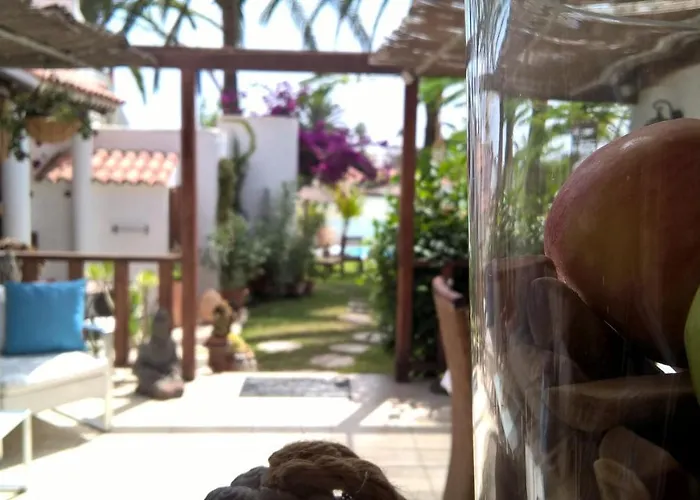 Birdcage Gay Men And Lifestyle (adults Only) 4*