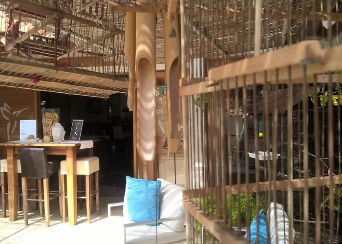 리조트 Birdcage Gay Men And Lifestyle (adults Only)