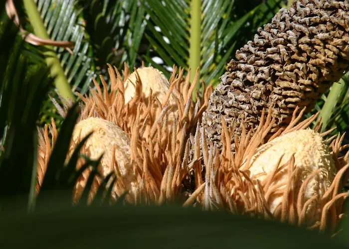 Birdcage Gay Men And Lifestyle (adults Only) 리조트 플라야 델 잉글스