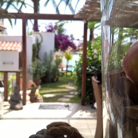 Birdcage Gay Men And Lifestyle (adults Only) 4*