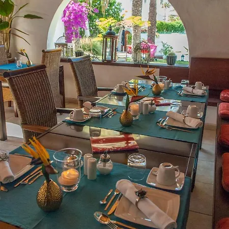 Birdcage Gay Men And Lifestyle (adults Only) 4*