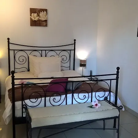 度假村 Birdcage Gay Men And Lifestyle (adults Only) 普拉亚戴尔雷安格莱斯