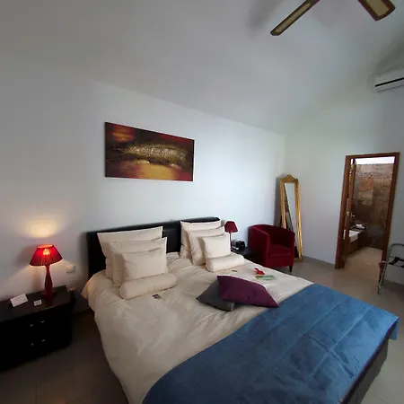 Birdcage Gay Men And Lifestyle (adults Only)